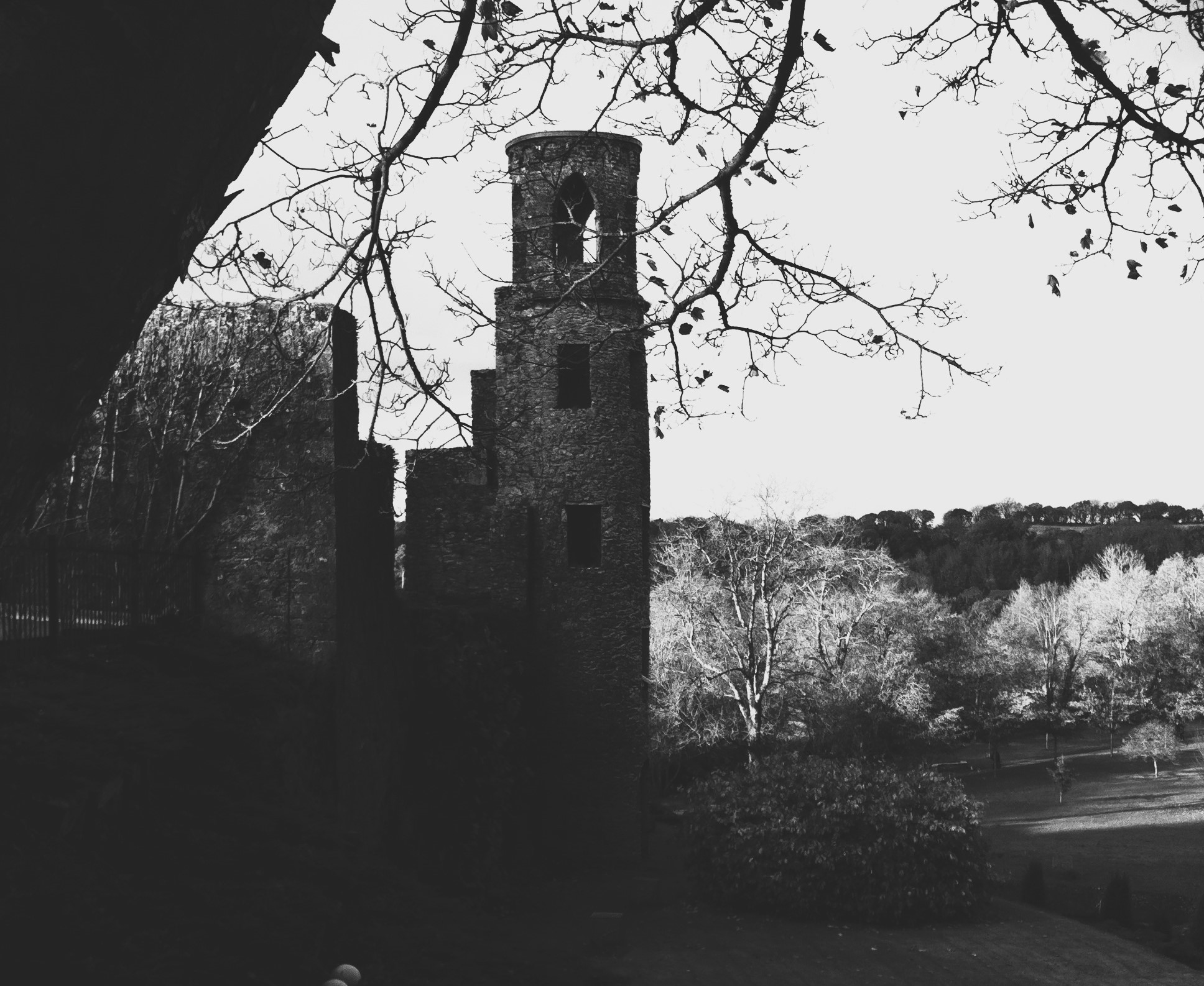 Black and White image of abandoned tower, franed with trees